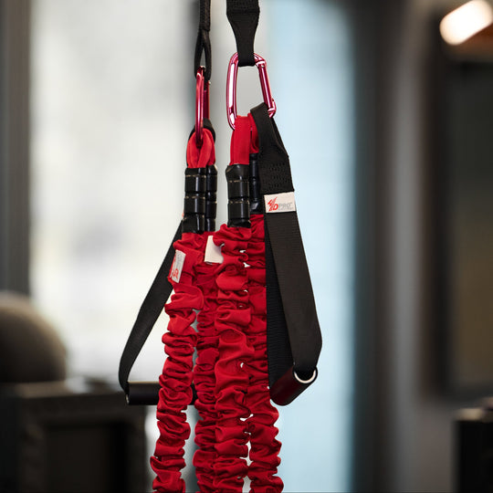 4D PRO® Bungee Trainer System hanging in a room with blurred background